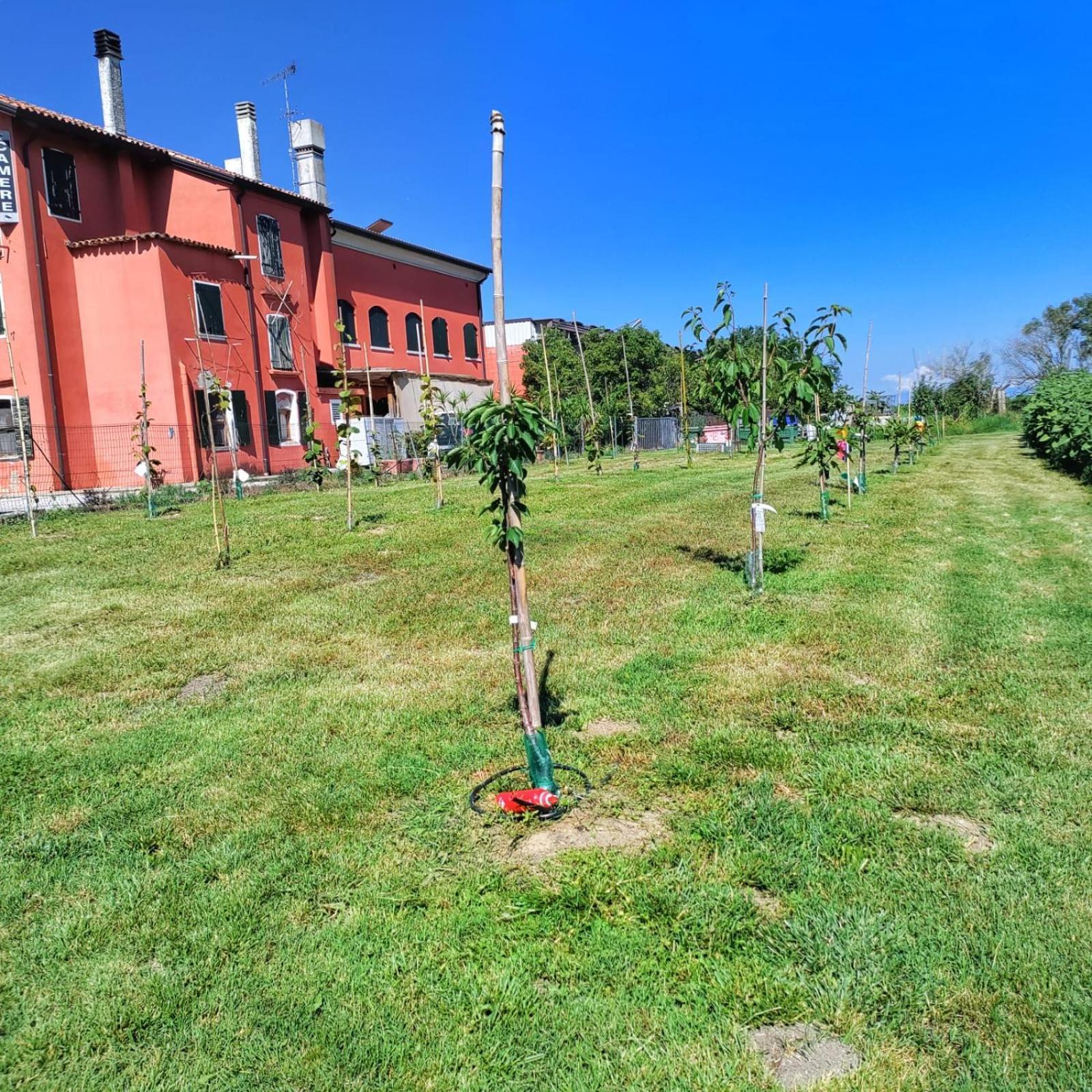 Quadrifoglio Relax Guest House San Dona di Piave Ngoại thất bức ảnh