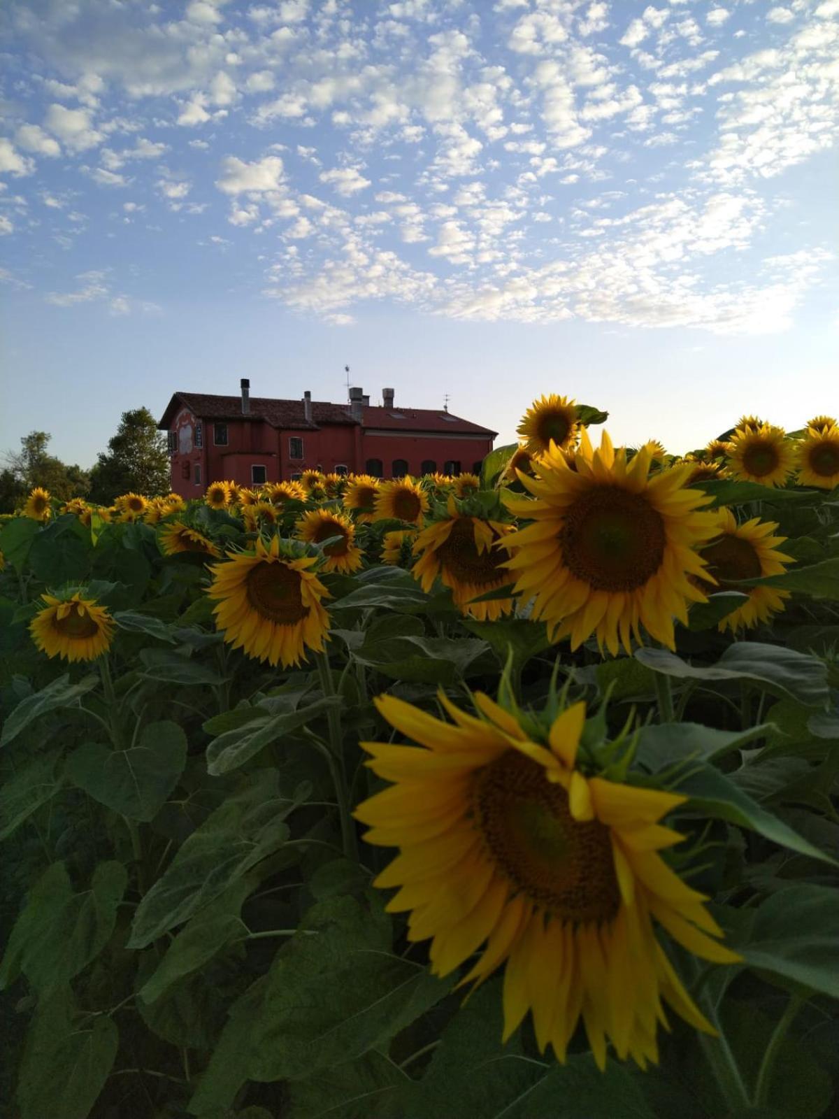 Quadrifoglio Relax Guest House San Dona di Piave Ngoại thất bức ảnh